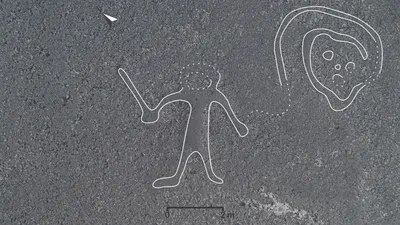 На плато Наска в Перу обнаружили древние рисунки смешных котиков. Это  окончательно запутало ученых - KP.RU