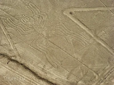 Гигантские рисунки в пустыне Наска — что говорят учёные о находке