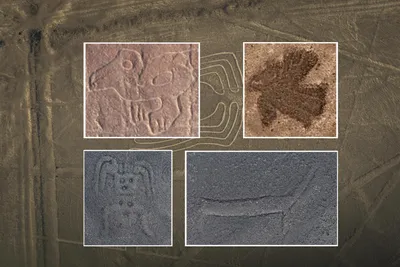 Искусственный интеллект обнаружил новый геоглиф на плато Наска