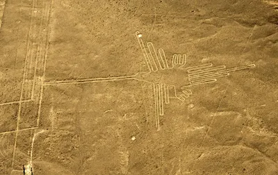 Геоглифы Наска - ученые нашли в Перу еще 168 гигантских рисунков - ZN.ua