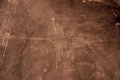 На плато Наска найдены новые рисунки, изображающие людей