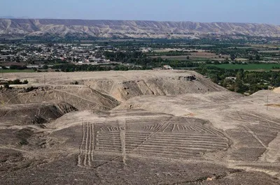 Археологи нашли на плато Наска более 50 ранее неизвестных геоглифов -  Hi-News.ru