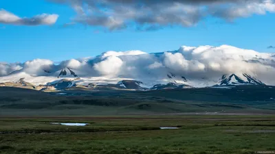 Плато Укок, Горный Алтай. Фото, видео, алтайская принцесса-мумия, как  добраться самостоятельно, отели — Туристер.Ру