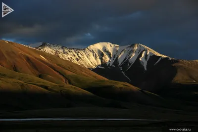 Плато Укок, Горный Алтай. Фото, видео, алтайская принцесса-мумия, как  добраться самостоятельно, отели — Туристер.Ру