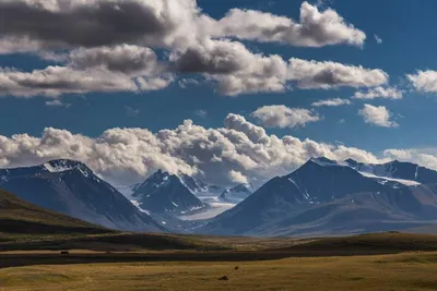 Горный Алтай и высокогорное плато Укок. Автомобильная поездка. -  Перекати-поле