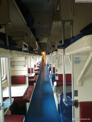 Поезд Таврия (Санкт-Петербург - Евпатория) - «Поездка с маленьким ребенком  в Евпаторию. Путь в 43 часа» | отзывы