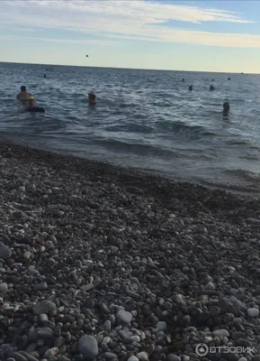 Отзыв о Пляж \"Дельфин\" (Россия, Лазаревское) | Узкий пляж, заставленный  шезлонгами.