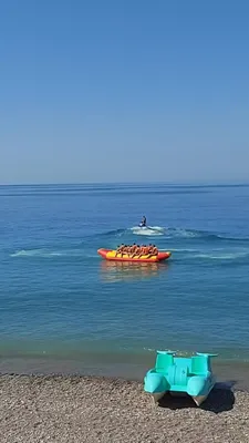 Полезные советы | Сочи Лазаревское Чёрное море прямо сейчас пляж дельфин,  на улице +34° | Дзен