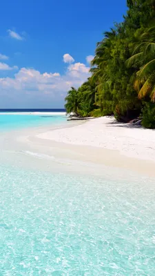 Обои пляж, путешествие, Остров, тропическая зона, море на телефон Android,  1080x1920 картинки и фото бесплатно