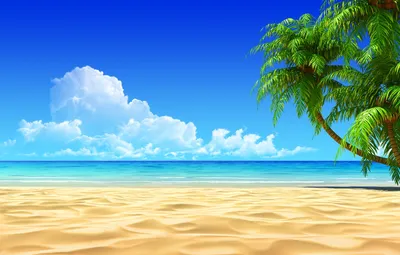 Обои пляж, тропики, океан, экзотика картинки на рабочий стол, раздел  природа - скачать