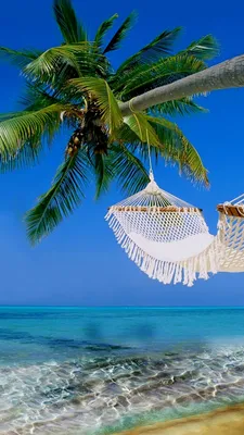 Обои пляж, море, тропическая зона, Карибский бассейн, океан на телефон  Android, 1080x1920 картинки и фото бесплатно