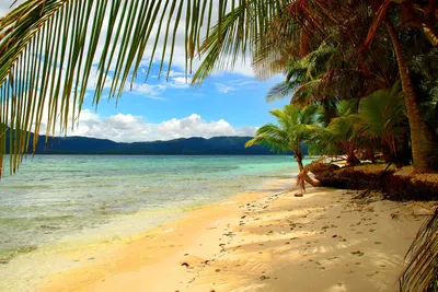 Тропический пляж фон - 62 фото