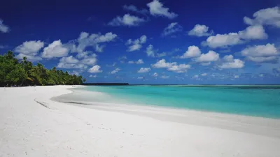 Скачать 1920x1080 пляж, песок, пальмы, остров, тропический, мальдивы обои,  картинки full hd, hdtv, fhd, 1080p