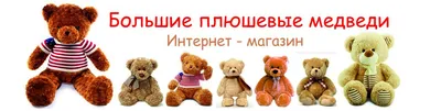 5 шт. милые маленькие медведи, плюшевые мягкие игрушки, жемчужные бархатные  куклы, подарки, мини мишка тедди, Прямая поставка | AliExpress
