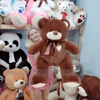 плюшевые игрушки медведь/ медвежонок плюшевый маленький мишка Для мальчиков  и девочек мягкая игрушка - купить с доставкой по выгодным ценам в  интернет-магазине OZON (1075506094)