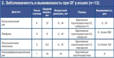 Опухоли гортани у кошек — ИРСО