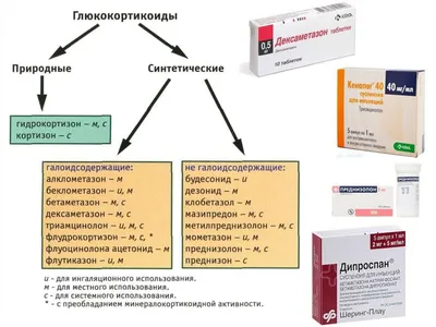 Влияние употребления стероидов на потерю аппетита: факты и доказательства