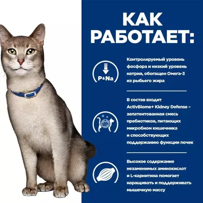 Хиллс K/D + МОБИЛИТИ лечебный сухой корм для кошек при хронической почечной  недостаточности с поддержкой суставов, с курицей, 1,5кг, HILL'S  Prescription Diet K/D + Mobility