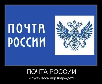 Картинки с Днем защитника Отечества: красивые и прикольные открытки к 23  февраля - МК Красноярск