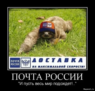 Картинка ленивец почта России - приколы
