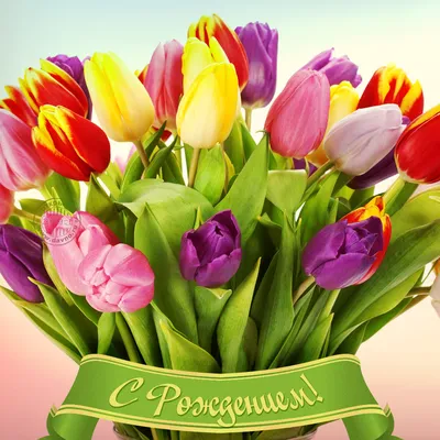 Цветы - лучший подарок самой красивой женщине планеты! — Скачайте на  Davno.ru