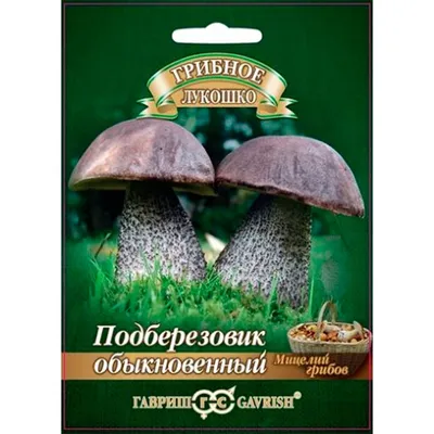 Купить Подберезовик на зерновом субстрате 15мл F0000039322 за 140руб.  |Garden-zoo.ru