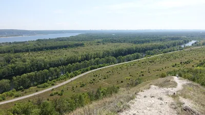 Подгоры / Жизнь в заповеднике