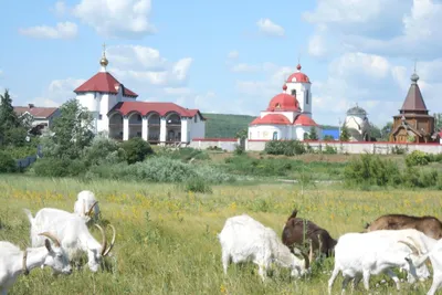 Подгоры в Самаре - фото, отзывы 2023, рейтинг, телефон и адрес