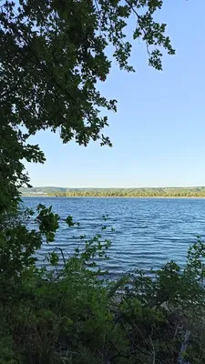 Гаврилова Поляна, Самарская область.