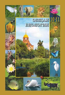 Помощь для начинающих животноводов - корова. Часть 3 | Общие вопросы по КРС  форум на Fermer.ru / Стр. 51 из 139