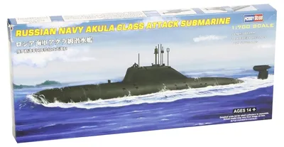 Nuclear Submarine Akula Class - 3D model by Rutas (@Suandoa) [22d979a]