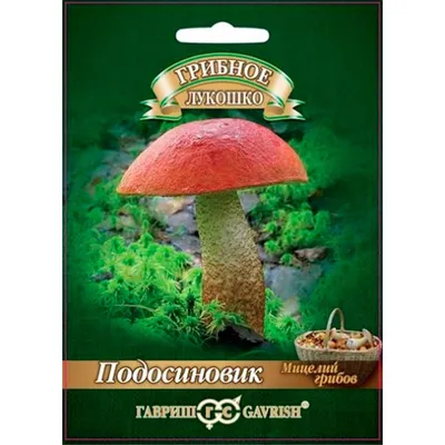 Купить Подосиновик на зерновом субстрате 15мл F0000039271 за 140руб.  |Garden-zoo.ru