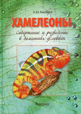 Книга Хамелеоны - купить книги о животных в интернет-магазинах, цены на  Мегамаркет | 9968640