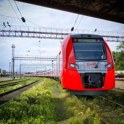 Скоростной поезд Ласточка - 92 фото