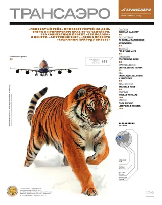 Transaero #09 2015 by TA Magazine - Issuu