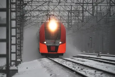 Ласточка поезд - 80 фото
