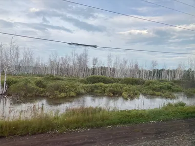 Электричка Москва — Владивосток. Пост 8. Омск – Новосибирск | Пикабу