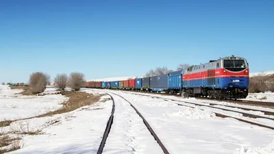 Грузовой поезд врезался в табун лошадей в Акмолинской области - 27.02.2023,  Sputnik Казахстан