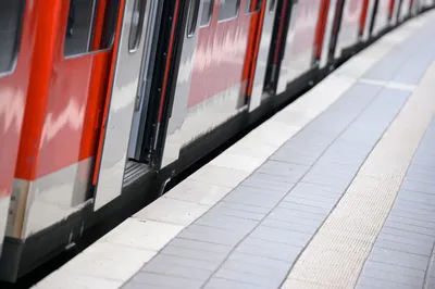 Поезда S-Bahn вблизи Ганновера отменены из-за белок