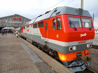 В Калининграде раскрыли секреты уехавшего в Москву поезда «Янтарь»