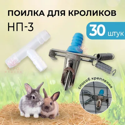 30шт Ниппельная поилка для кроликов НП3 / ниппельная поилка для грызунов:  кролики, хорьки, нутрии, шиншиллы - купить с доставкой по выгодным ценам в  интернет-магазине OZON (613210757)