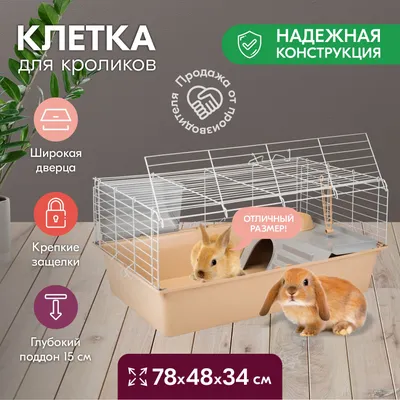 Ниппельная поилка для кроликов НП-8 купить за 45 рублей в интернет-магазине  fermerz.ru. Доставка по всей России. Продажа | Цена | Отзывы