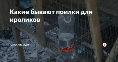 Поилка под бутылку AQUADRINK для кроликов - купить по доступной цене в  Москве