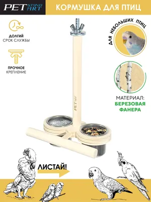 Кормушка для попугаев и Жердочка для попугаев - купить с доставкой по  выгодным ценам в интернет-магазине OZON (1239444896)
