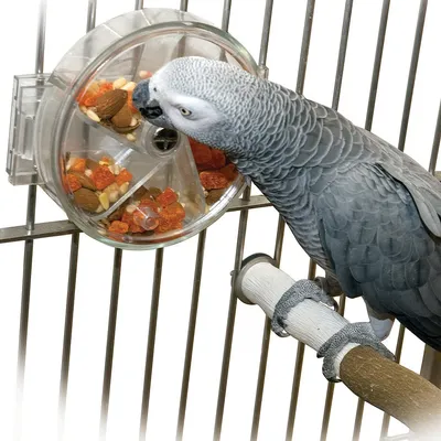 Ferplast (Ферпласт) Parrot Feeding - Кормушка для попугаев, канареек и  маленьких экзотических птиц - Купить онлайн, цена и отзывы на E-ZOO