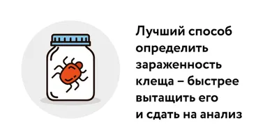 Энтомолог рассказал, как по коже определить заражение опасной инфекцией от  клеща – Москва 24, 05.07.2022