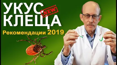 Укус клеща - что делать? Новые рекомендации СDC и AMMI 2019 - YouTube