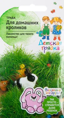 Чем кормить кроликов и что едят кролики в домашних условиях - Питомцы  Mail.ru