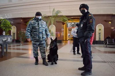 Безопасность пассажиров и порядок в поездах: как работает транспортная  полиция в Новосибирске - ЧС-ИНФО