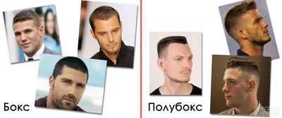 Стрижка полубокс – TOP BARBERSHOP